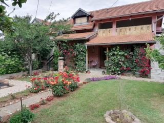 Apartman Mika - Soko Banja - 6