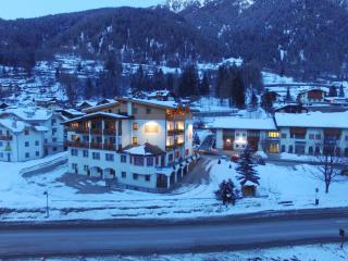 Sport Hotel Stella Alpina - Cogolo - 6