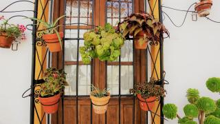 Casona Granado - 2