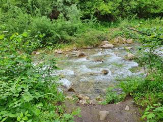 Apartament Homole E6 - 6