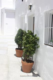 La Moradita - Vejer de la Frontera - 7