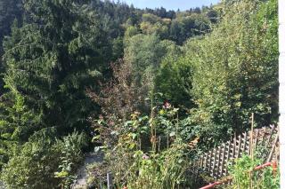 Exklusive Ferienwohnung MIRO 25 m² in ruhiger Lage - Heidelberg - 2