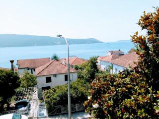 apartman Darija Savina - Herceg-Novi - 1