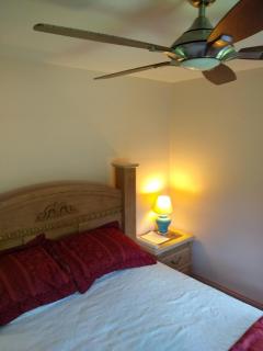 Home Sweet Home Suite #3, near Liberty University, and Lynchburg Hospital, Deluxe Queen Size Bedroom - Lynchburg - 6