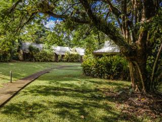 Ferntree Rainforest Lodge - Cape Tribulation - 6