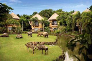 Mara River Safari Lodge Bali - Keramas - 1