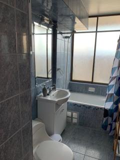Departamento Amoblado Talca - 3