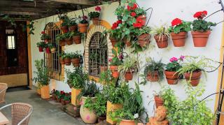 Casona Granado - El Pilar y Provincias - 6