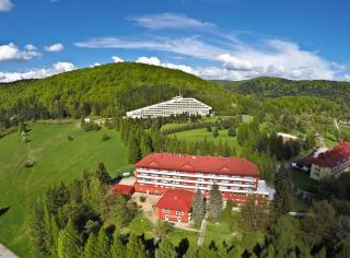 Ośrodek Uzdrowiskowy Beskid - Wysowa-Zdrój - 9