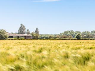 Pass the Keys 3 bedroom Cottage in the heart of beautiful Bosham - Chichester - 1