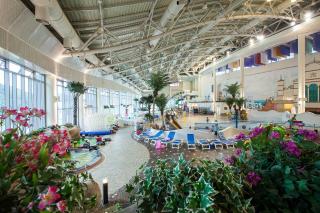 Phoenix Hotel Pyeongchang - 5