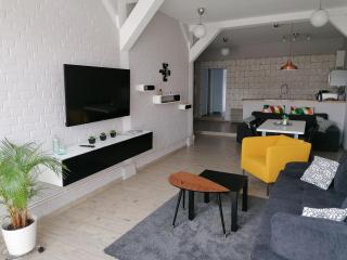 Central Loft Apartment - Ueckermünde - 9