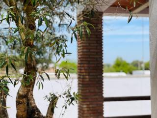 El Refugio 2 - Los Caños de Meca - 5