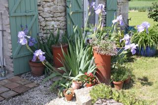 Bouye Gite Accommodation - 5