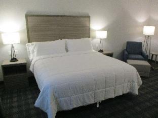 Best Western Plus Wills Point - 4