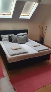 PENSIUNE RESTAURANT OVIDIU - Valea lui Mihai - 9
