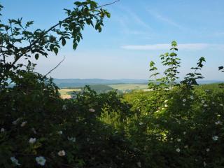 Penzion Vyhlídka Janovičky - 3