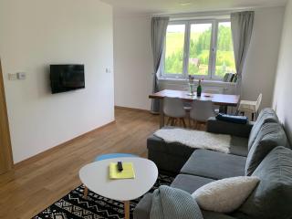 Apartmán u Kunštátského mlýna - Orlické Záhoří - 5