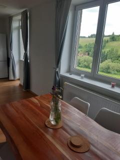 Apartmán u Kunštátského mlýna - Orlické Záhoří - 2