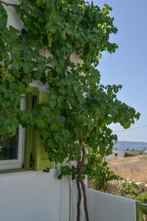 Zeras Apartments - Adamas - 2