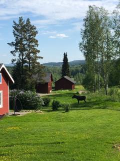 Trevlig stuga nära Hovfjället - Torsby - 5