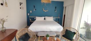 La Quintita Biarritz - studio avec jardin - Biarritz - 9