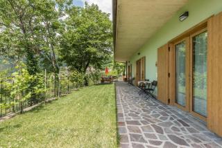 Nonno Bigi Girasole - 2