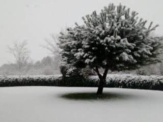 Apartamentos La Peinada - 6