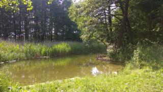 Wigierska Zagroda - agroturystyka - Suwałki - 5
