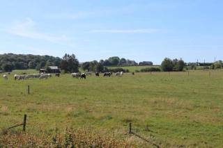 Lo'rée des prés - Grandriaux - 2