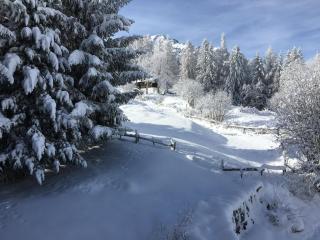 Appartement Waidmannsheil mit schöner Aussicht - 2
