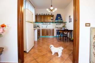 MonrealExperience - Monreale - 4