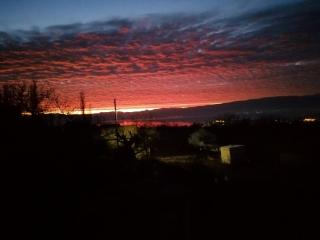 Villa Apartments STEFAN - Ramne Ohrid - Ohrid - 4