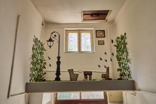 BOTANIK - Belgrade - 8