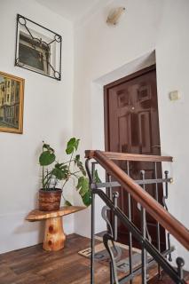 BOTANIK - Belgrade - 9