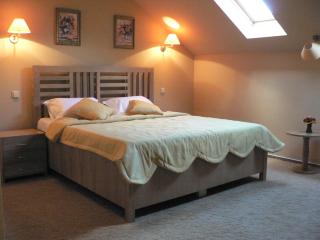 Anette Resort & SPA - Covaci - 8