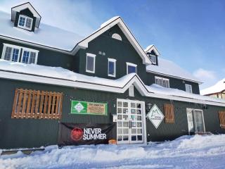 Madarao Mountain Lodge - Iiyama - 0
