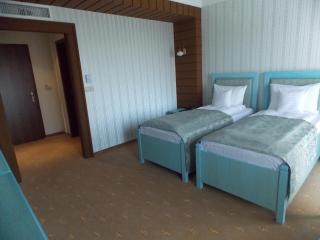 Anette Resort & SPA - Covaci - 7