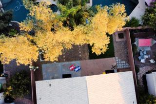 Catalina Serenity Paradise - Tucson - 6