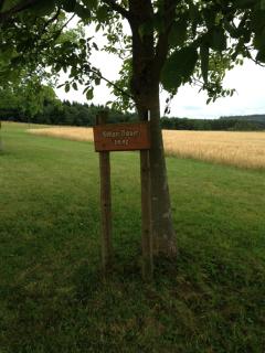 Penthouse Mosel Huntress - 4