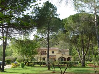 La maison de la Cigale - Forcalqueiret - 7