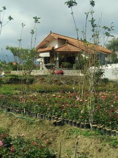 Shanty's House - Batu - 9