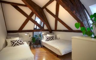 U Kapra Apartments - Prag - 7