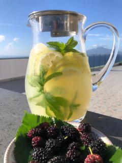 Hotel Britannia - Sorrento - 8