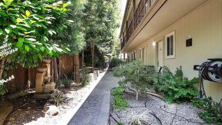 The Zen Hotel Palo Alto - Palo Alto - 1
