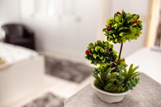 URBAN LUXURY - Constanţa - 1