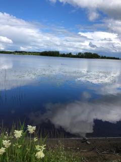 AaltoStudio Alajärvi - Alajärvi - 1