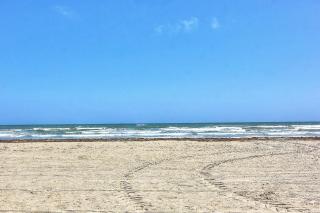 Ocean View SIV26 - Port Aransas - 1