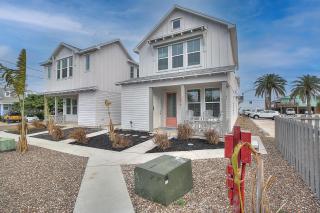 The Sassy Crab MV1D - 2