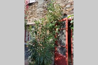 La Rustique, maison de charme proche Carcassonne - jardin, wifi, tout équipée - 6